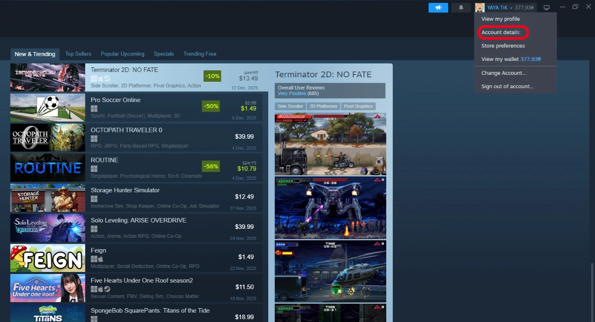 steam 1